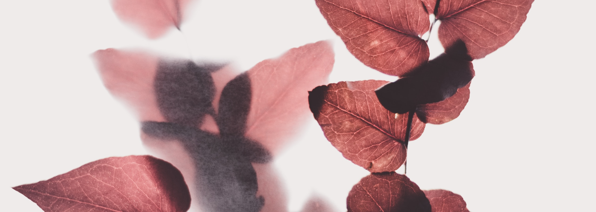 blog_img